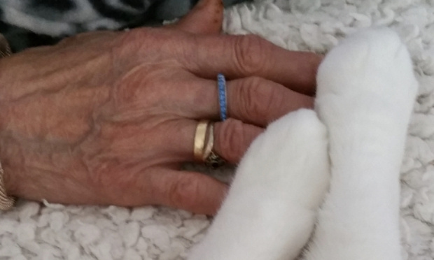 POURQUOI REFUSEZ VOUS DE SIGNER CETTE P&Eacute;TITION ?