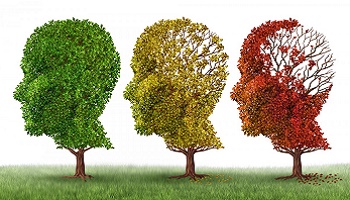 Les moyens pour la prévention de la maladie Alzheimer