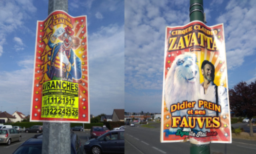 Stop aux cirques-ménageries à Avranches