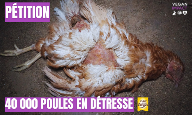 EXIGEONS LA FERMETURE DE L'ÉLEVAGE DE LA FERME DU PRÉ