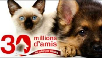 Reprise de l'émission 30 millions d'amis le week-end