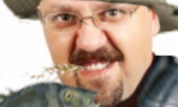 The spot crate becomes the Sbeve Crate