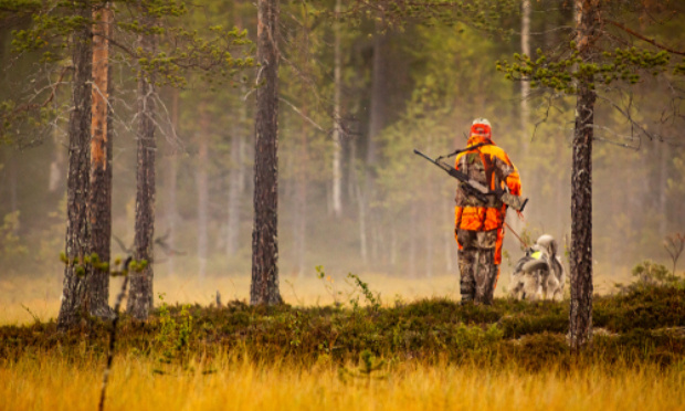 Abolir la chasse et laisser la nature se réguler seule.