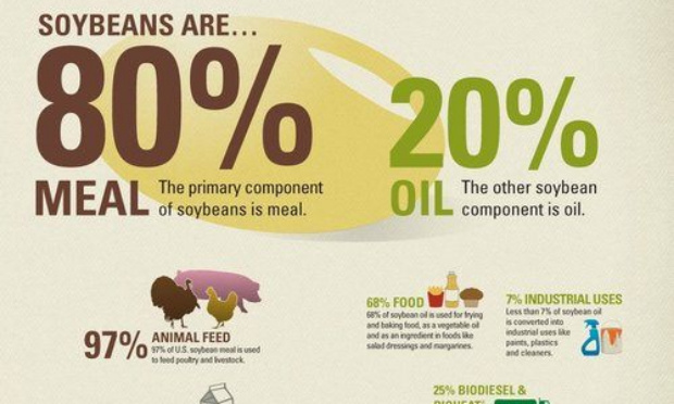 Offrons une connexion internet &agrave; St&eacute;phanie de Monaco !