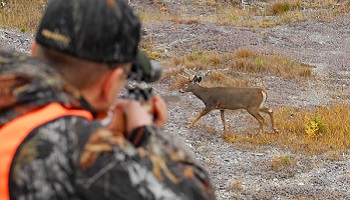 Interdiction de la chasse le week-end