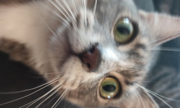 SIGNEZ POUR QUE JE RE&Ccedil;OIS MON PIANO AVANT NO&Euml;L