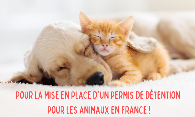 POUR LA MISE EN PLACE D’UN PERMIS DE DÉTENTION D’ANIMAUX EN FRANCE !