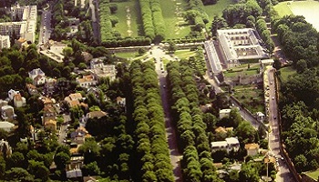 Interdiction de couper les arbres dans l'Avenue du Château à Meudon