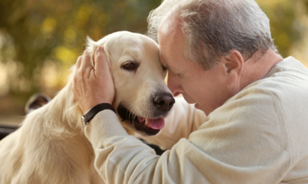 Permettre à des personnes de 70 ans et + d’adopter un animal