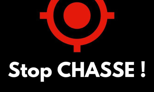 Stop &agrave; la chasse