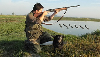 Pour l'arrêt de la chasse le week-end