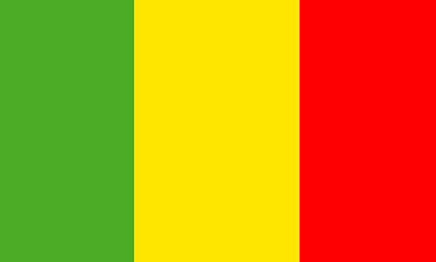 Maliens de la Diaspora levez- vous  !!!