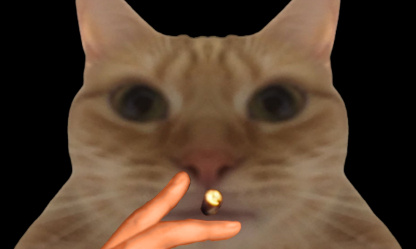 Changeons le nom du jeu "Among us" pour "Amogus sussy baki"