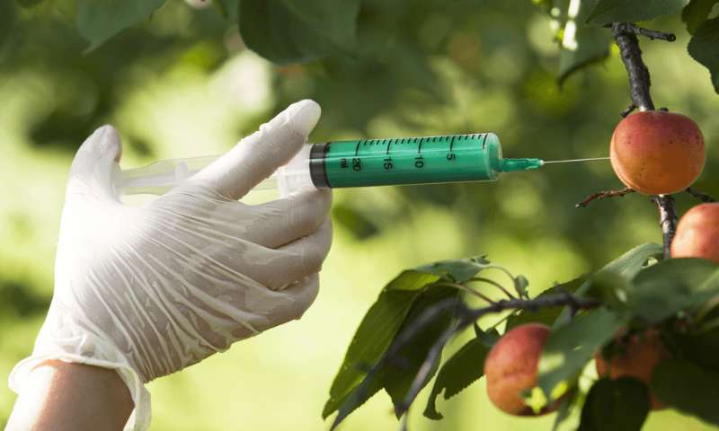 Nouveaux OGM : je n’en veux pas !