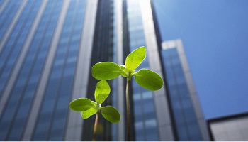 Un représentant environnement dans les entreprises