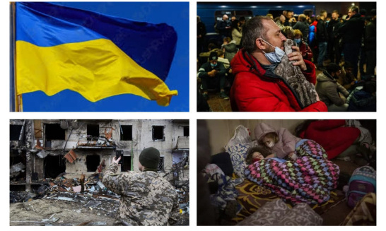 Appel à la mobilisation du monde de la protection animale contre la guerre en Ukraine