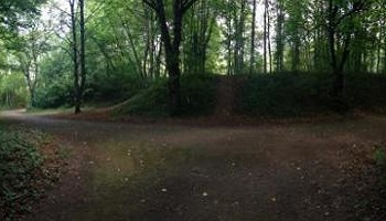 Sauvez les arbres du Fort de Queuleu à Metz