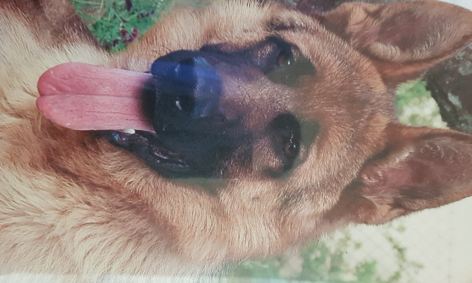 que tous les candidats a la presidence   mettent noir sur blanc de tenir leur promesses electorale et remettre  a tous les journaux une copie