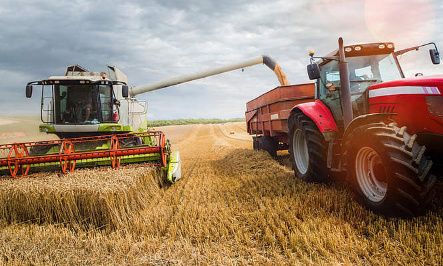 Guerre en Ukraine, flambée des matières premières : il faut planter des céréales sur les jachères !