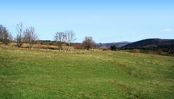 Réduire le rôle de la SAFER dans les transactions de terres en campagne