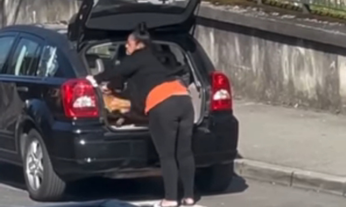 Elle tabasse son chien dans le coffre de sa voiture, et on lui laisse le droit de garde ?!