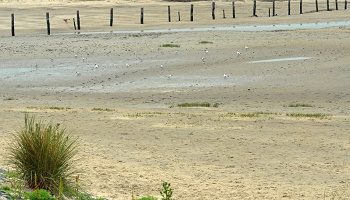 Contre l'abandon de 14ha de territoire Belge aux Pays-Bas