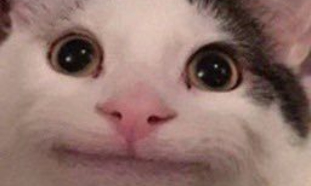 Changer le pseudo de Searching en "Searching de Blablaland.com"