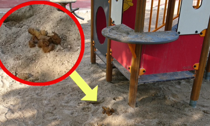 Ramasse ton caca ton chien