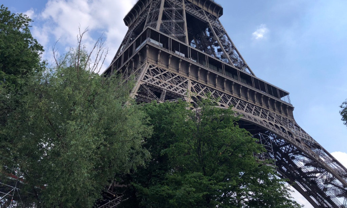 URGENT : Non à l'abattage d'arbres centenaires aux pieds de la tour Eiffel !