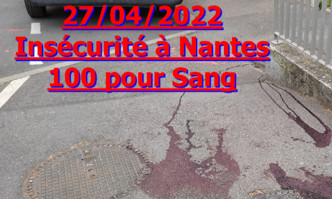 Insécurités : plainte contre la maire de Nantes