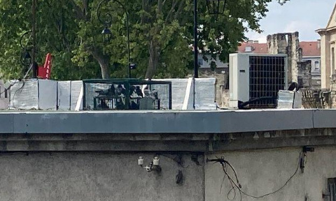 STOP à la capture des pigeons à Avignon dans le département du Vaucluse