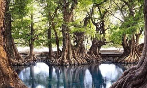 Savoir vivre ensemble !