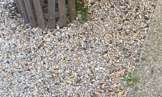 Pour un campus Zéro Mégot