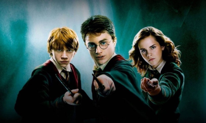 Pour que Netflix reprenne les droits d'Harry Potter !