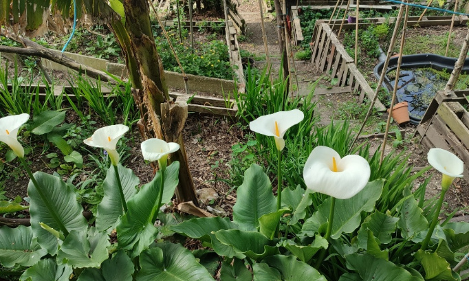 Pour la reconnaissance du travail effectué par les bénévoles de l'association Graine d'Union