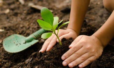 Reverdir les cours de l'&eacute;cole Moulin &agrave; vent