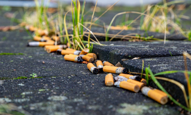 Tabac : Stop à la pollution de l'environnement !