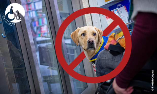 AUCUN CHIEN D’ASSISTANCE NE DOIT RESTER À LA PORTE