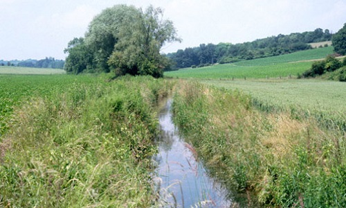 Interdire le drainage des zones humides agricoles
