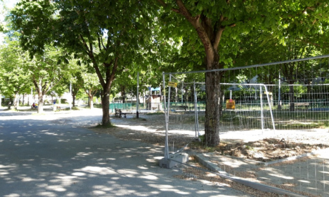 Arbres quarantenaires menacés !