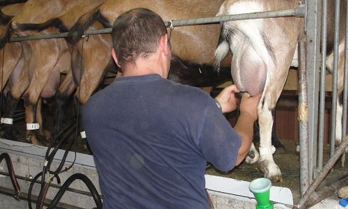 Je soutiens les éleveurs en difficulté !