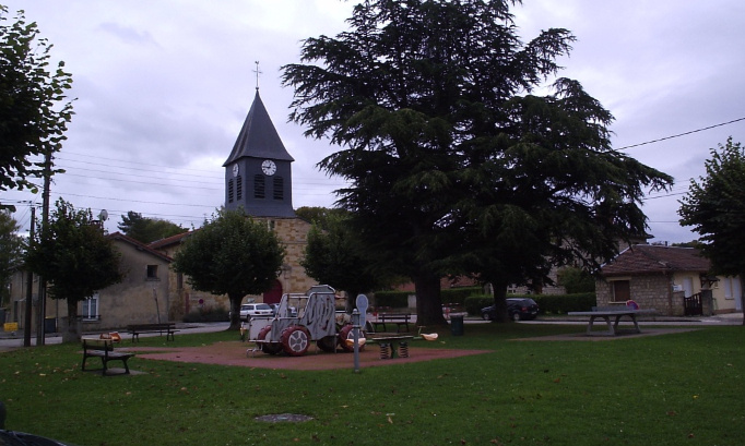 Non à l'abattage du cèdre de la place de Verdun !