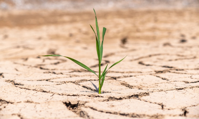 Urgent : Pour des réelles mesures afin de lutter contre la sécheresse !