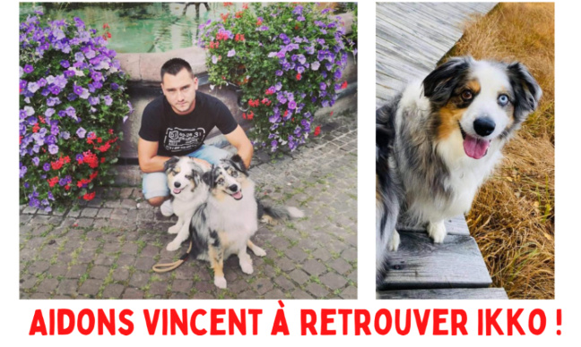Aidons Vincent à retrouver son chien Ikko !
