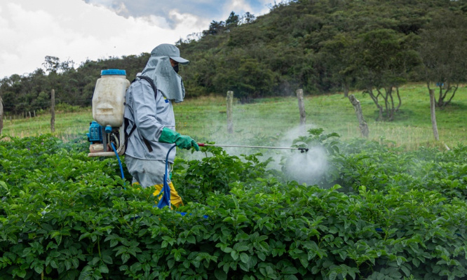 Il est urgent de mettre un terme aux pesticides !