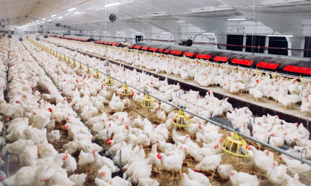 Pour la protection des lanceurs d'alerte !