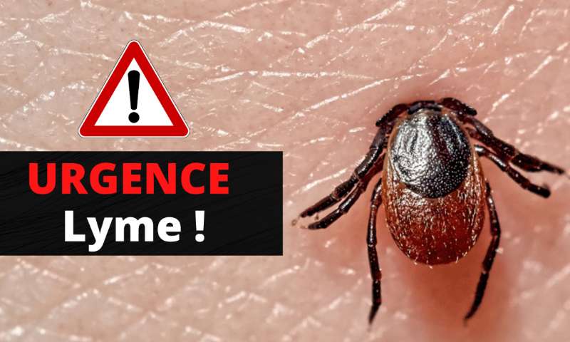 Urgence Lyme : pour un plan d'action immédiat en France !