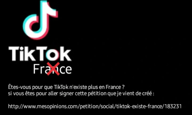 Pour que TikTok n'existe plus en France