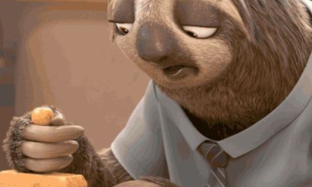 Pour que la salle mette son pain à cuire avant le service