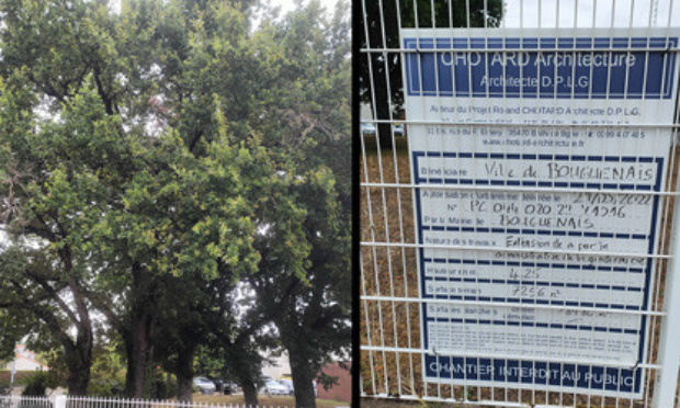 Nous souhaitons un moratoire sur le projet, afin d'envisager un complément d'étude permettant la sauvegarde des cinq chênes.